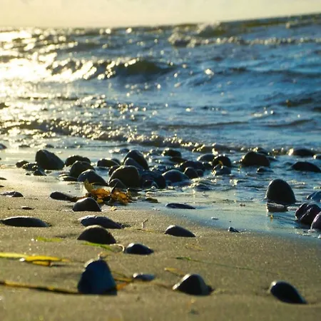 6 Person In Sydals-by Traum